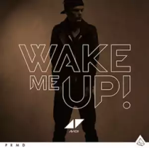Avicii - Aloe Blacc Wake Me Up (Acoustic)